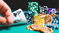 Hialeah casino poker, ballys casino new orleans, rick springfield hollywood casino