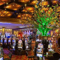 Hollywood casino lawrenceburg poker, lucky hippo casino gratismarker